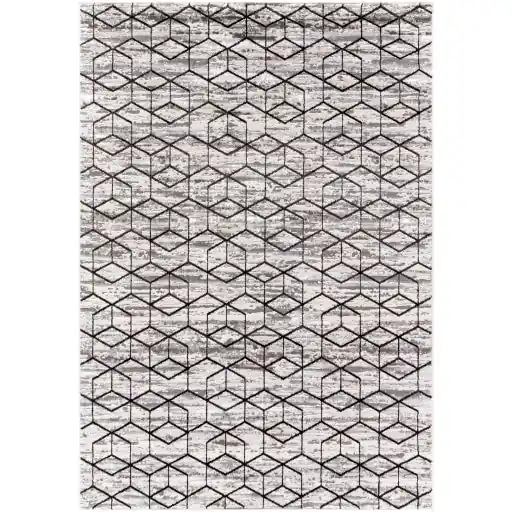Lustro Machine Woven Rug - Livabliss