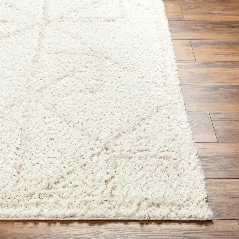Maryland Shag Machine Woven Rug - Livabliss