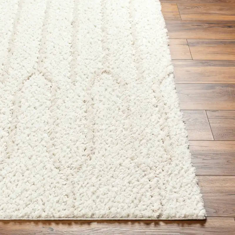 Maryland Shag Machine Woven Rug - Livabliss