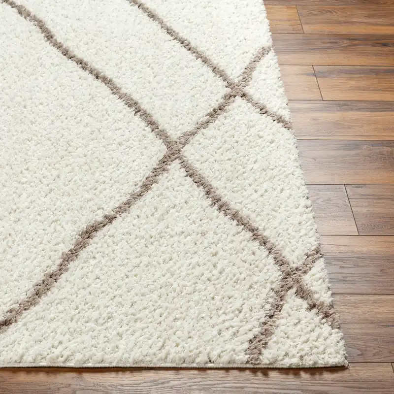 Maryland Shag Machine Woven Rug - Livabliss