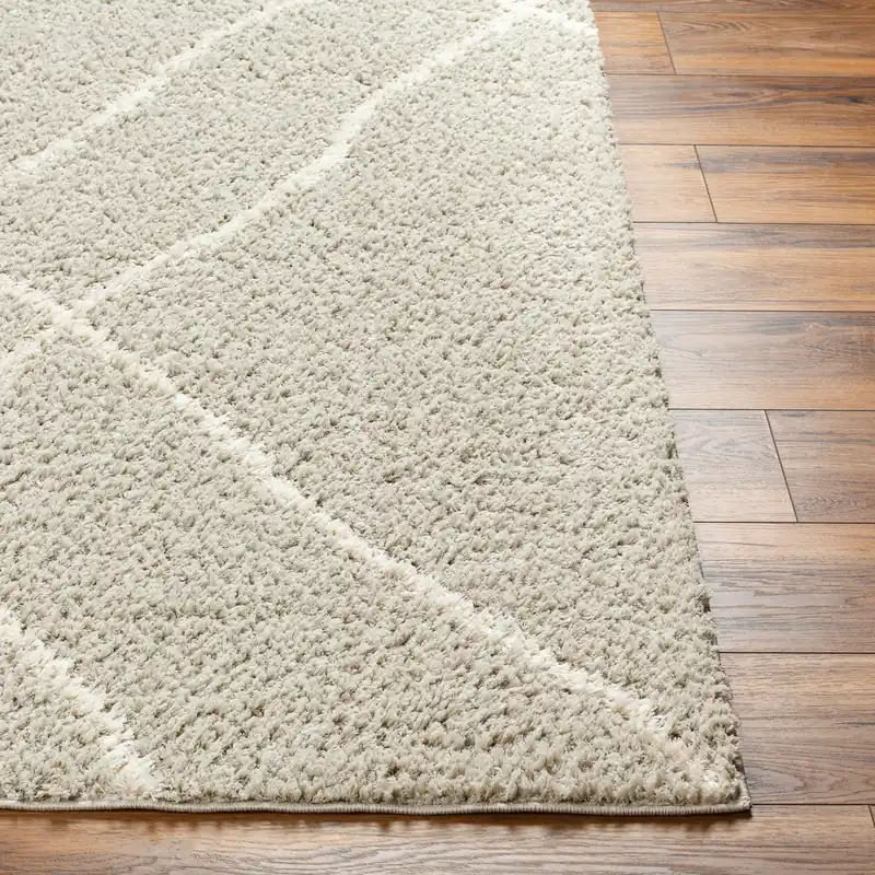 Maryland Shag Machine Woven Rug - Livabliss