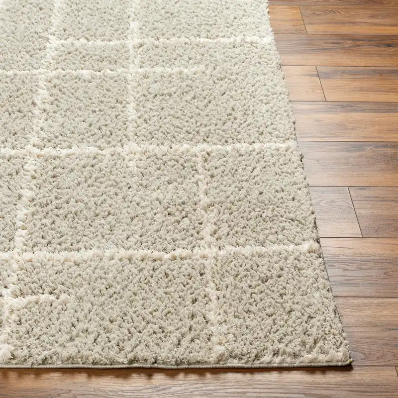 Maryland Shag Machine Woven Rug - Livabliss