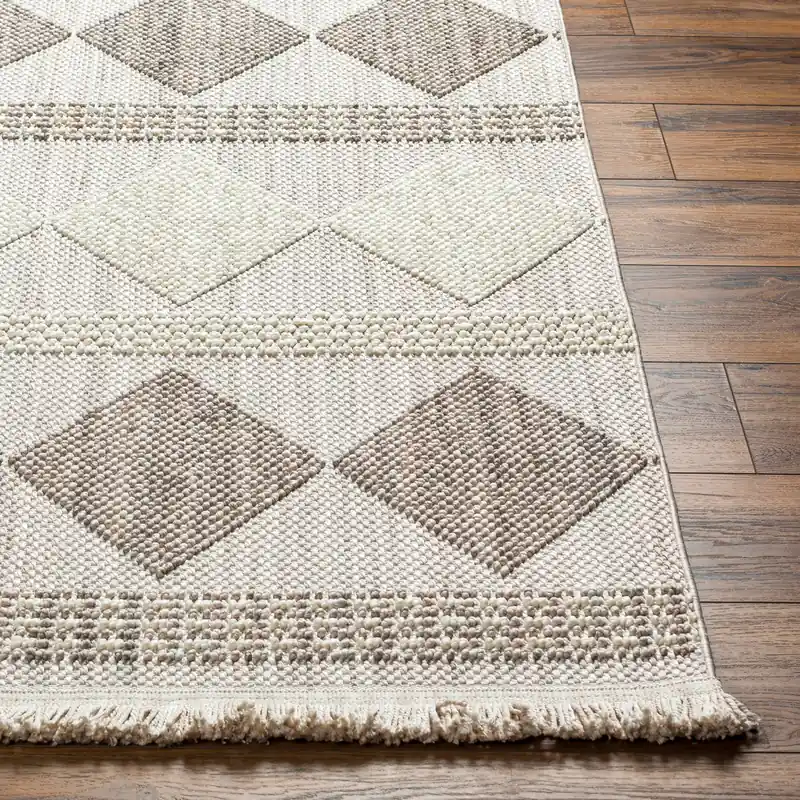 New Delhi Machine Woven Rug - Livabliss