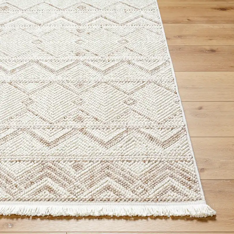 New Delhi Machine Woven Rug - Livabliss