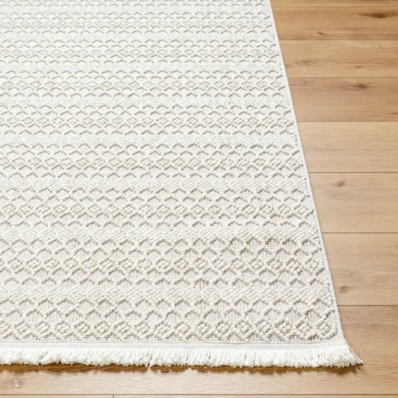 New Delhi Machine Woven Rug - Livabliss