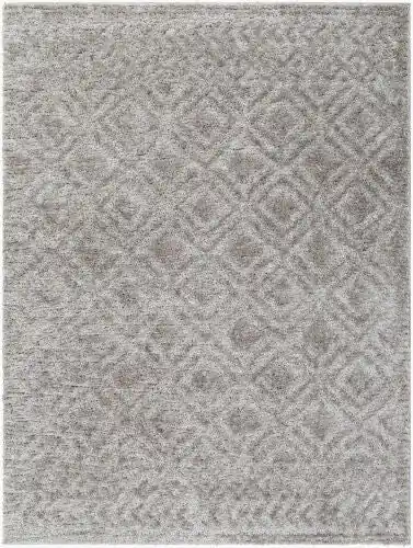 Nomadic Machine Woven Rug - Livabliss