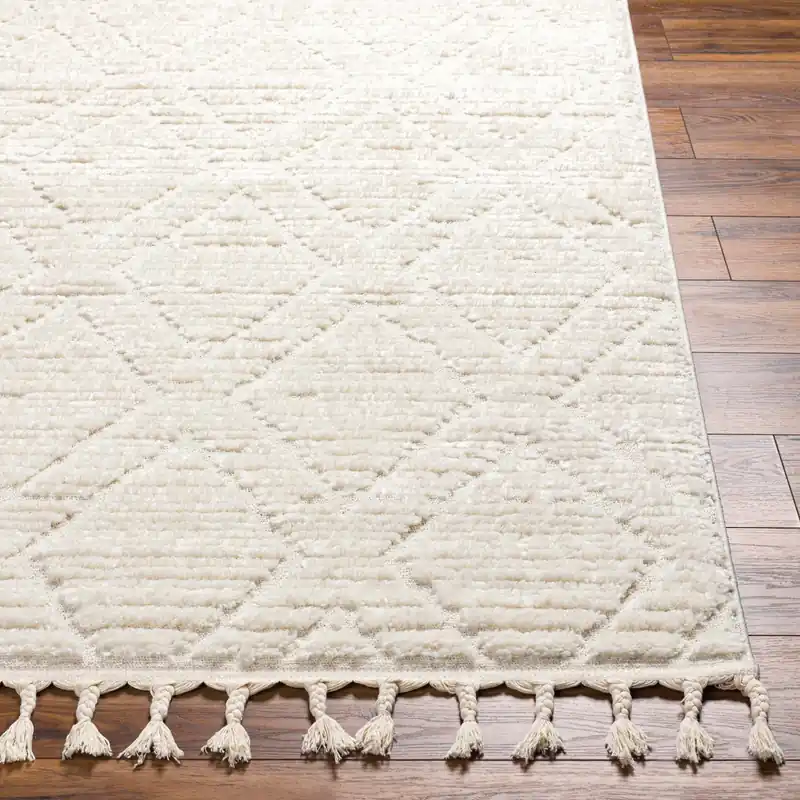 Nora Machine Woven Rug - Livabliss