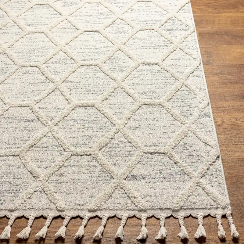 Nora Machine Woven Rug - Livabliss