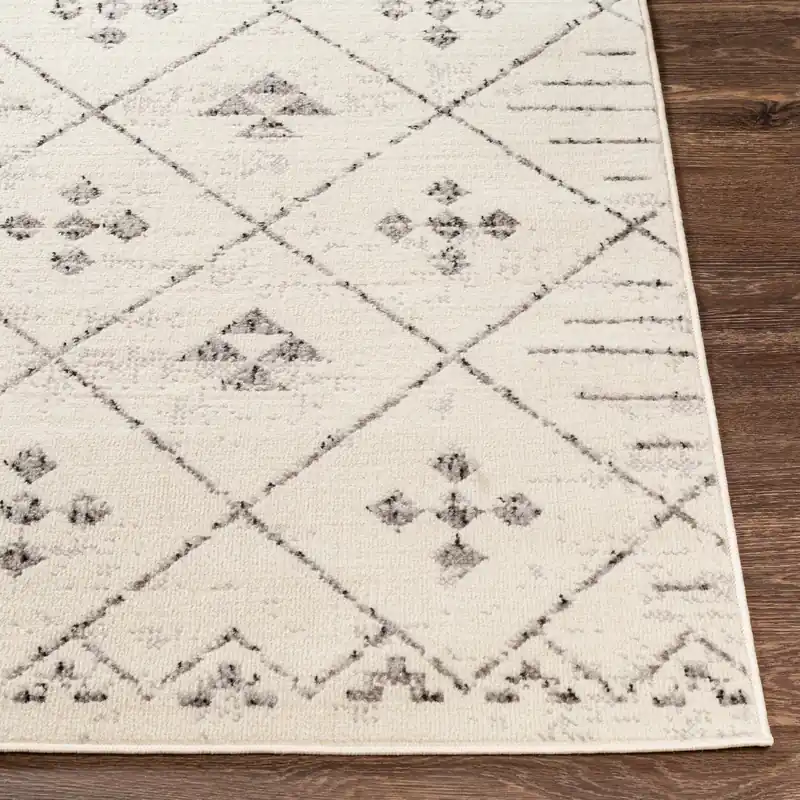 Pisa Machine Woven Rug - Livabliss