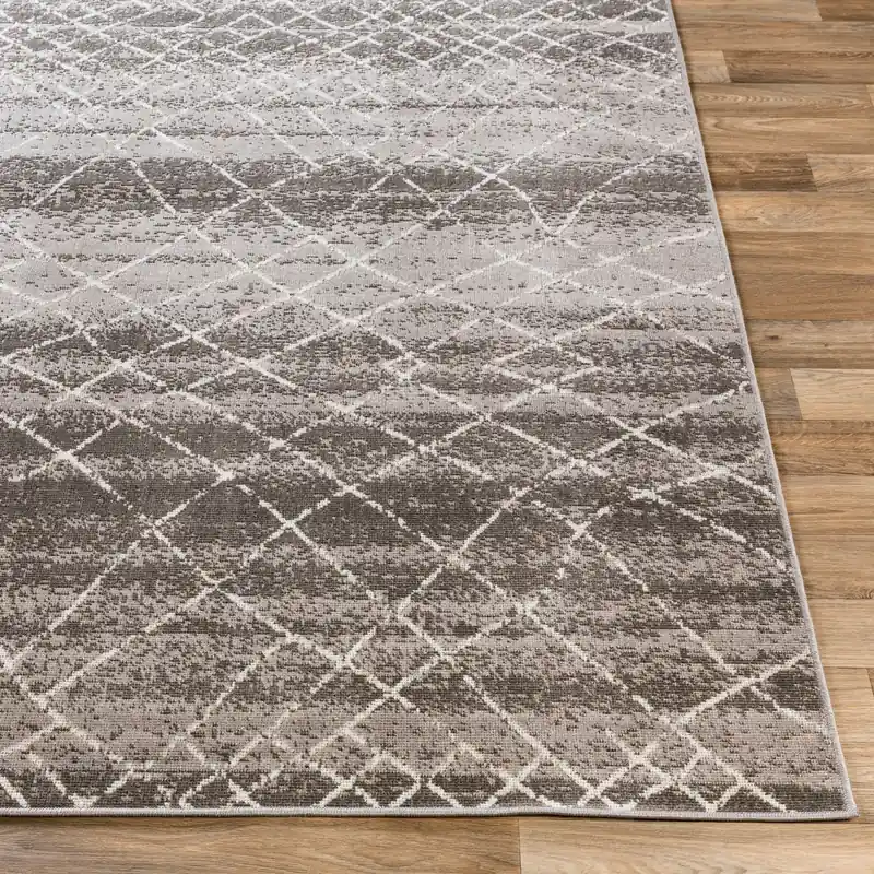 Rafetus Machine Woven Rug - Livabliss