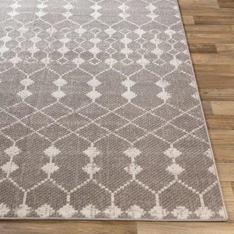Rafetus Machine Woven Rug - Livabliss