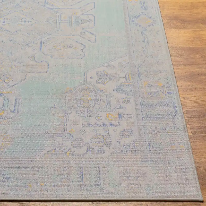 Rafetus Machine Woven Rug - Livabliss