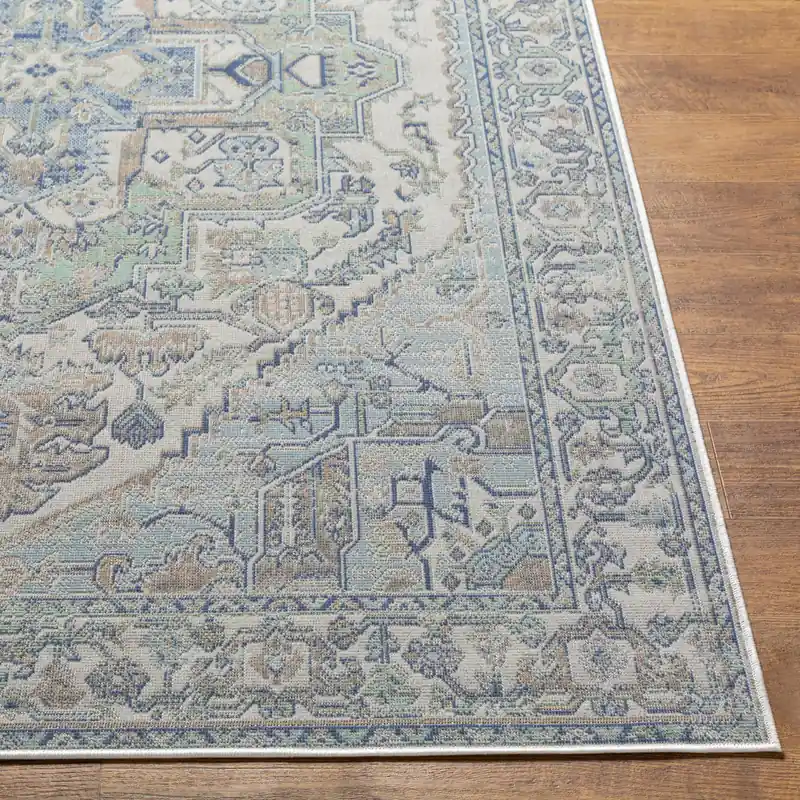 Rafetus Machine Woven Rug - Livabliss
