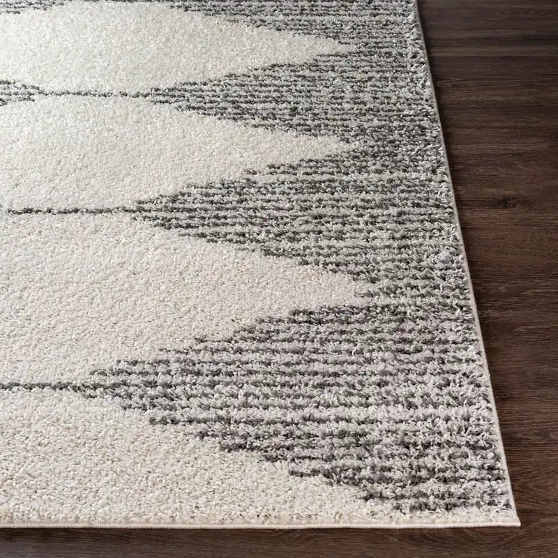 Taza Shag Machine Woven Rug - Livabliss