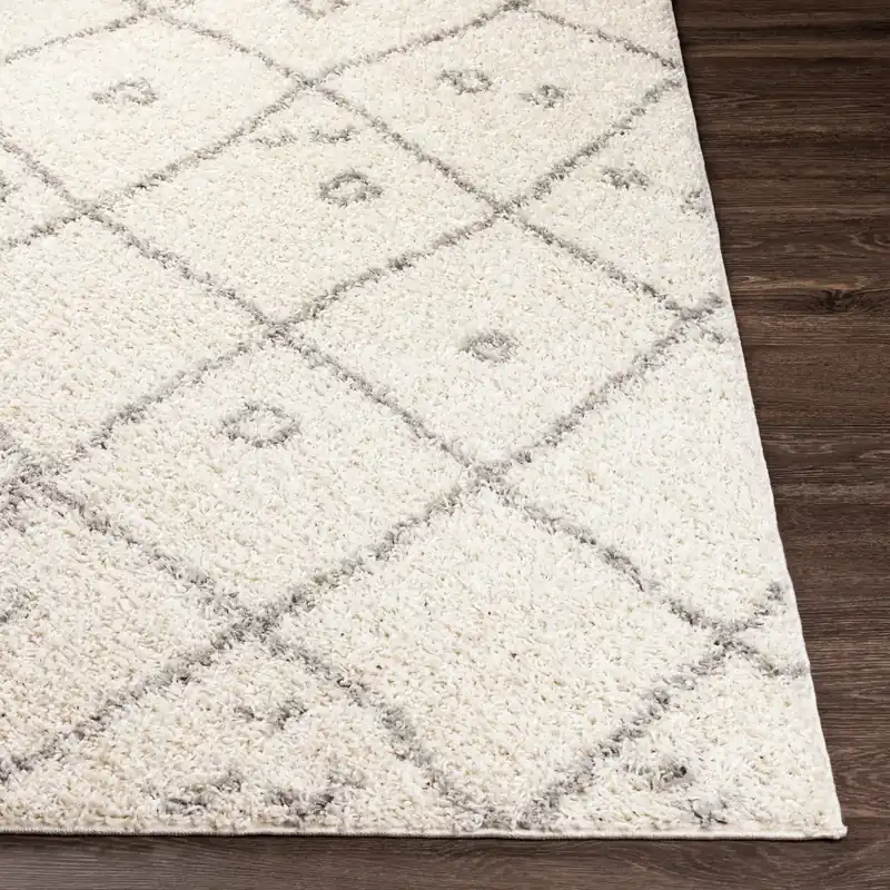 Taza Shag Machine Woven Rug - Livabliss