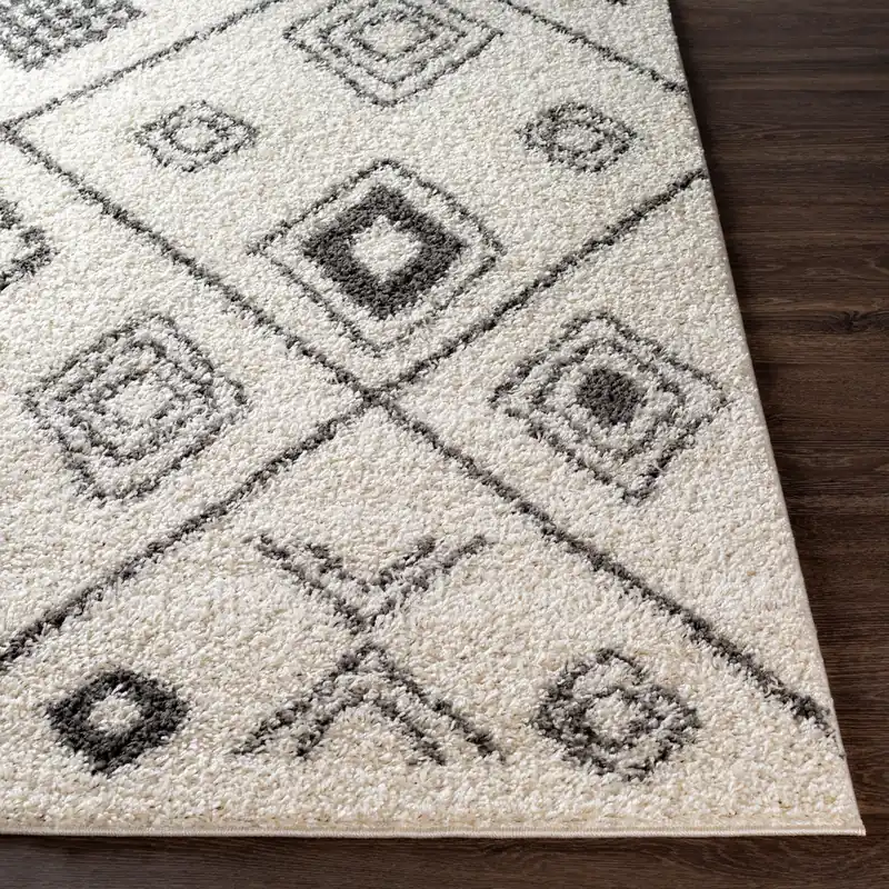 Taza Shag Machine Woven Rug - Livabliss