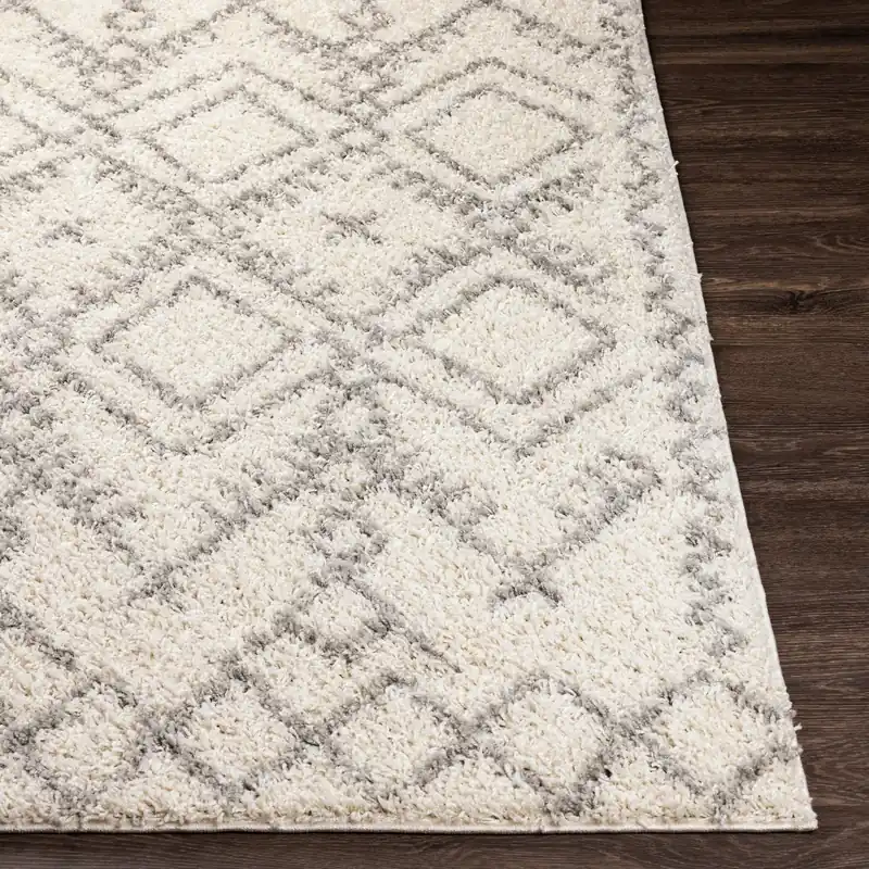 Taza Shag Machine Woven Rug - Livabliss
