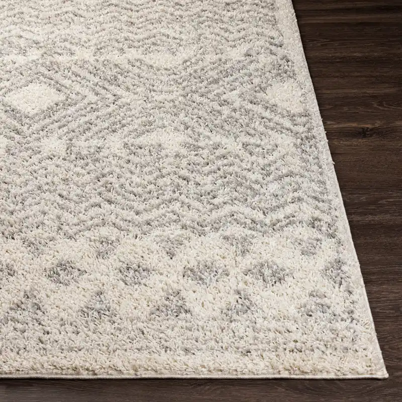 Taza Shag Machine Woven Rug - Livabliss