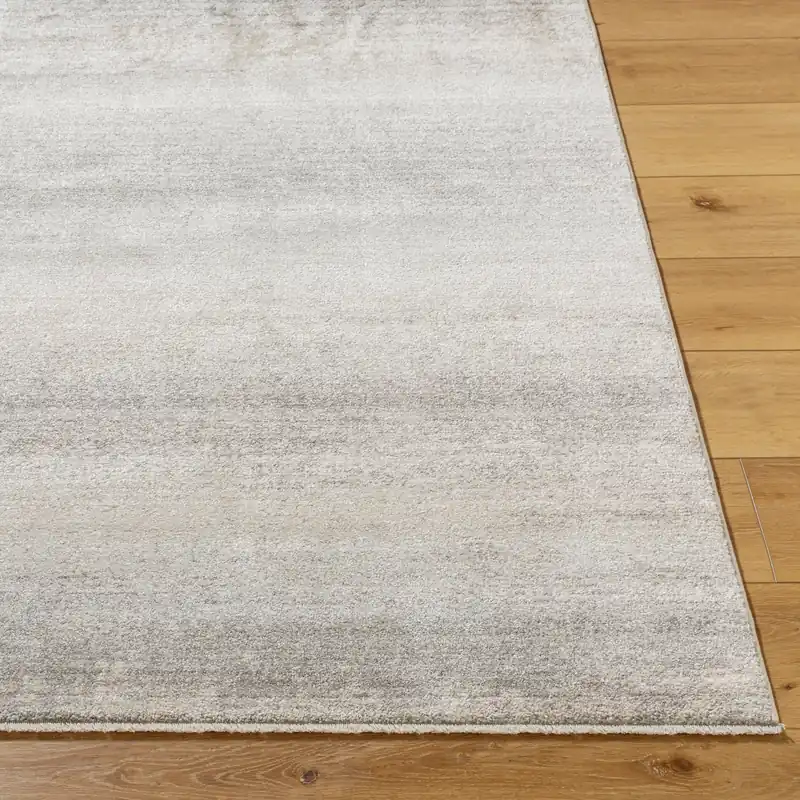 Rojin Machine Woven Rug - Livabliss