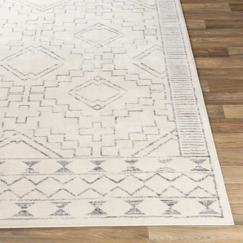 Roma Machine Woven Rug - Livabliss