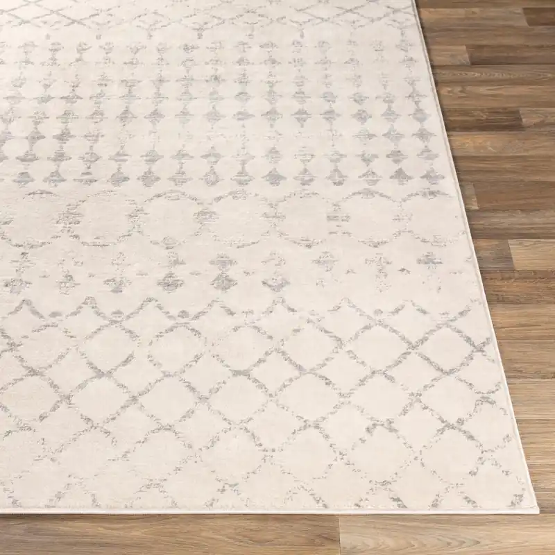Roma Machine Woven Rug - Livabliss