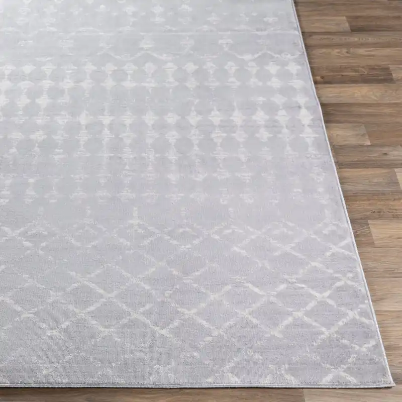 Roma Machine Woven Rug - Livabliss