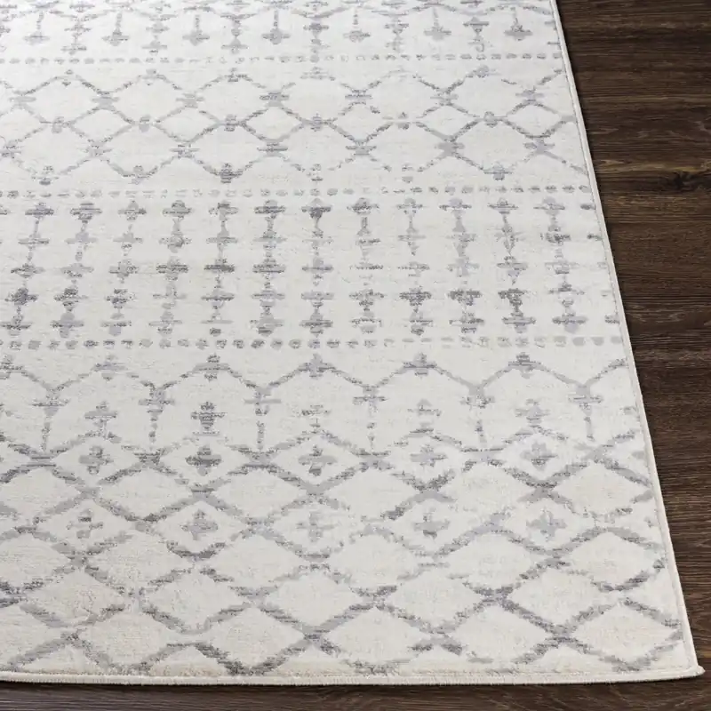 Roma Machine Woven Rug - Livabliss