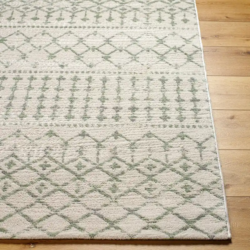 Roma Machine Woven Rug - Livabliss