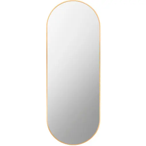 Aranya Accent Mirror - Livabliss