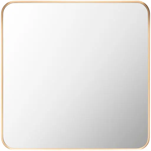 Aranya Accent Mirror - Livabliss