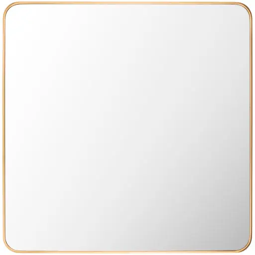 Aranya Accent Mirror - Livabliss