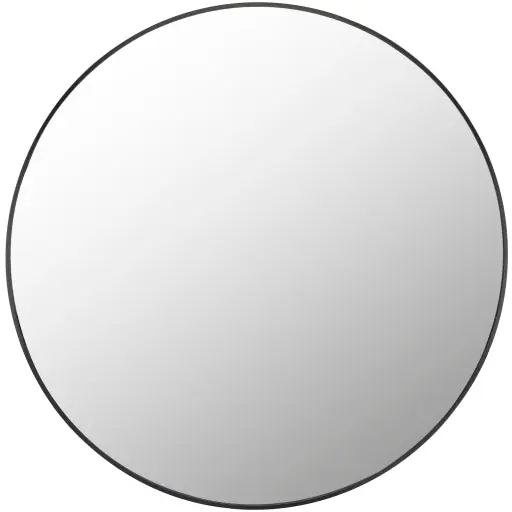 Aranya Accent Mirror - Livabliss