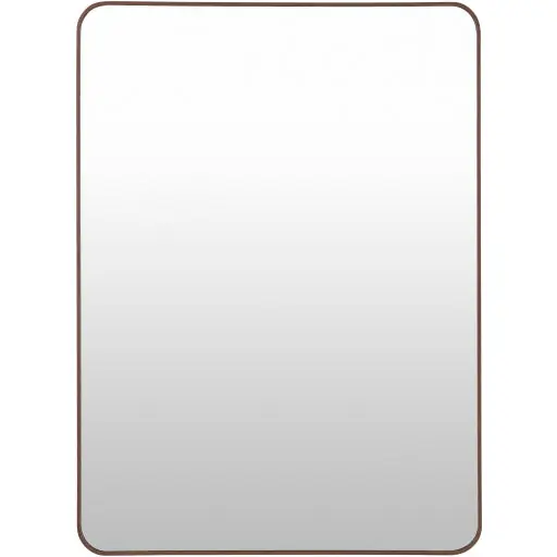 Aranya Accent Mirror - Livabliss