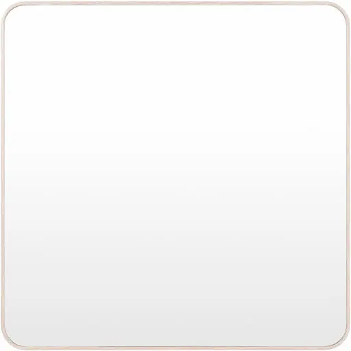 Aranya Accent Mirror - Livabliss