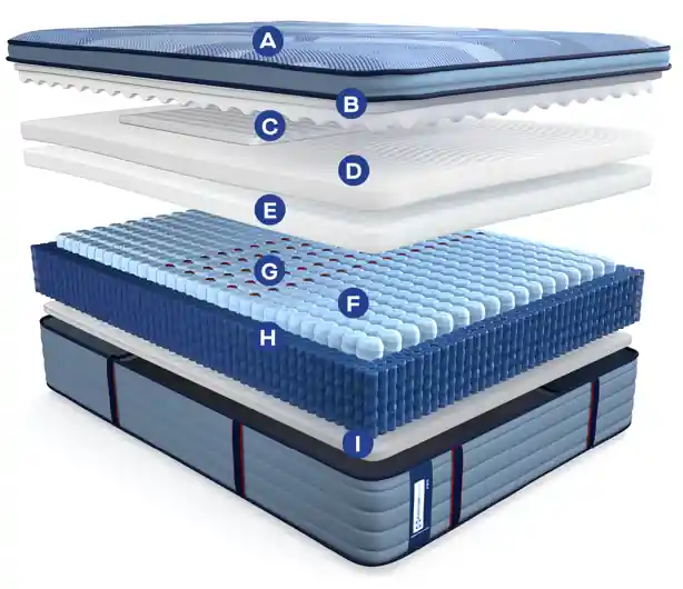 pro Indianapolis Medium Euro Pillow Top 15" Profile - Sealy