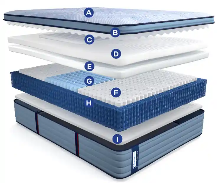 Plus Hagerstown Firm Euro Pillow Top 15" Profile - Sealy