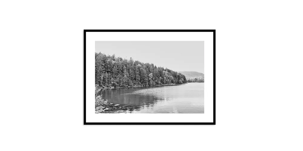 Acadia Tree Line - Bassett
