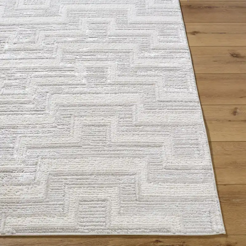 Wolly Machine Woven Rug - Livabliss