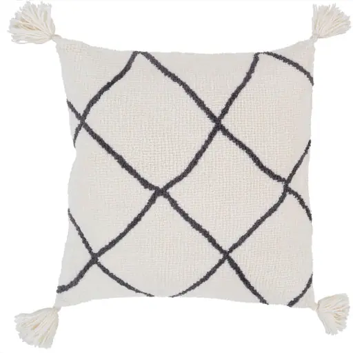 Braith Accent Pillow - Livabliss