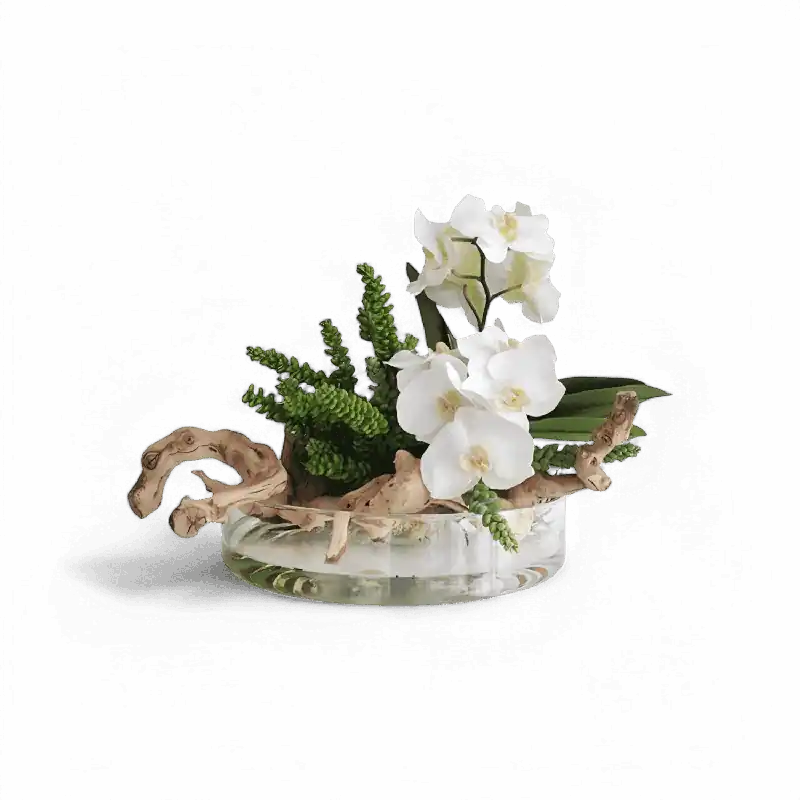 Heritage Vase Succulents and Wood - Modani Live