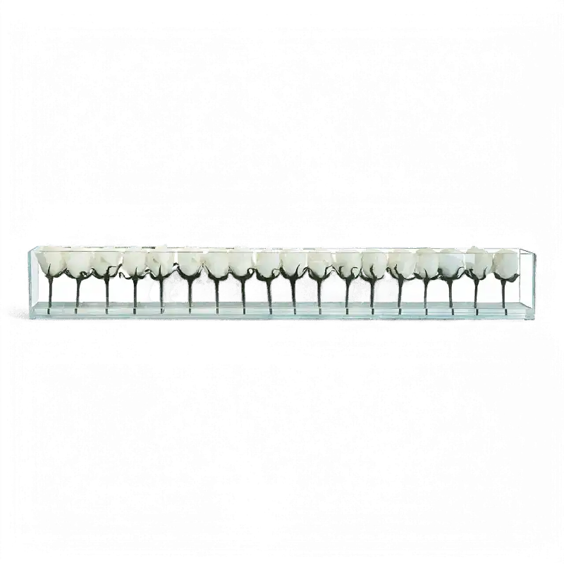 48" Roses with Flush Vase White - Modani Live
