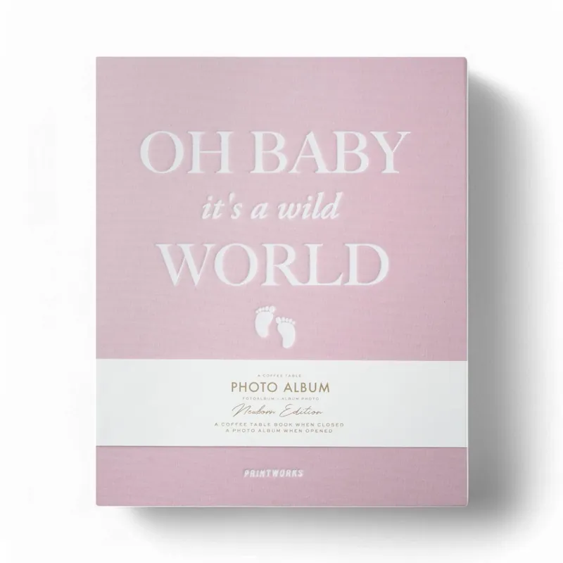 Pink World Delight Album Photo - Modani Live