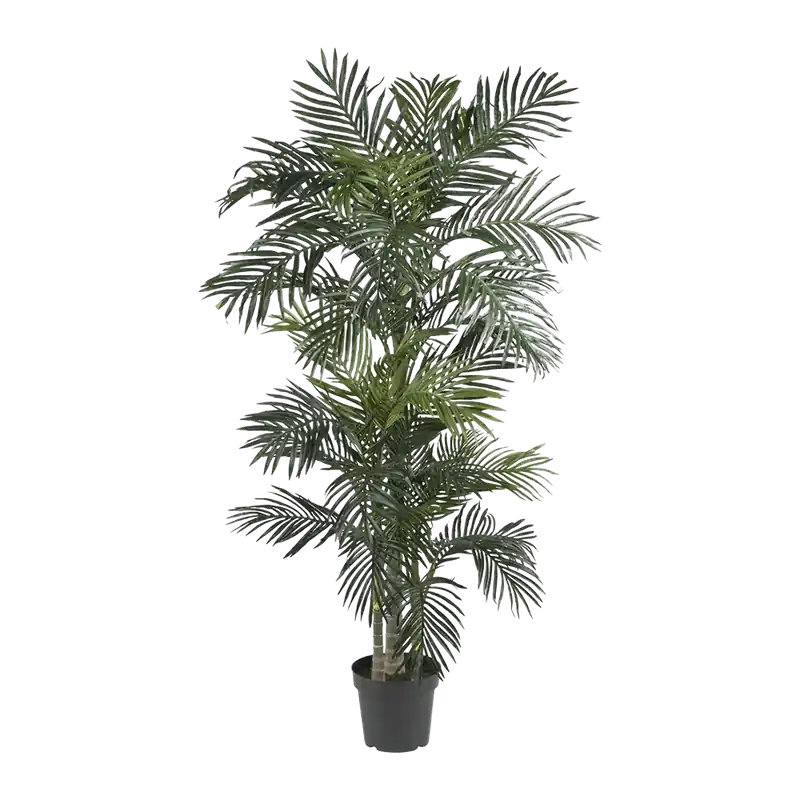 6.5 ft. Suncrest Palm Tree - 401Nearly