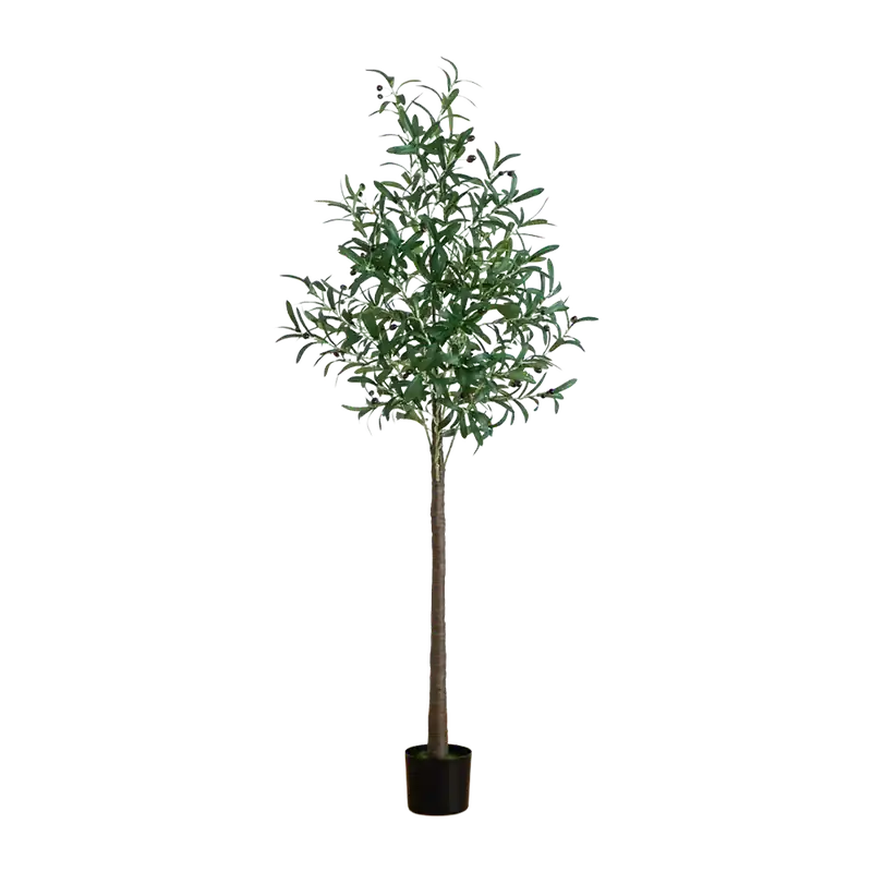 6 ft. Lumiere Olive - 401Nearly