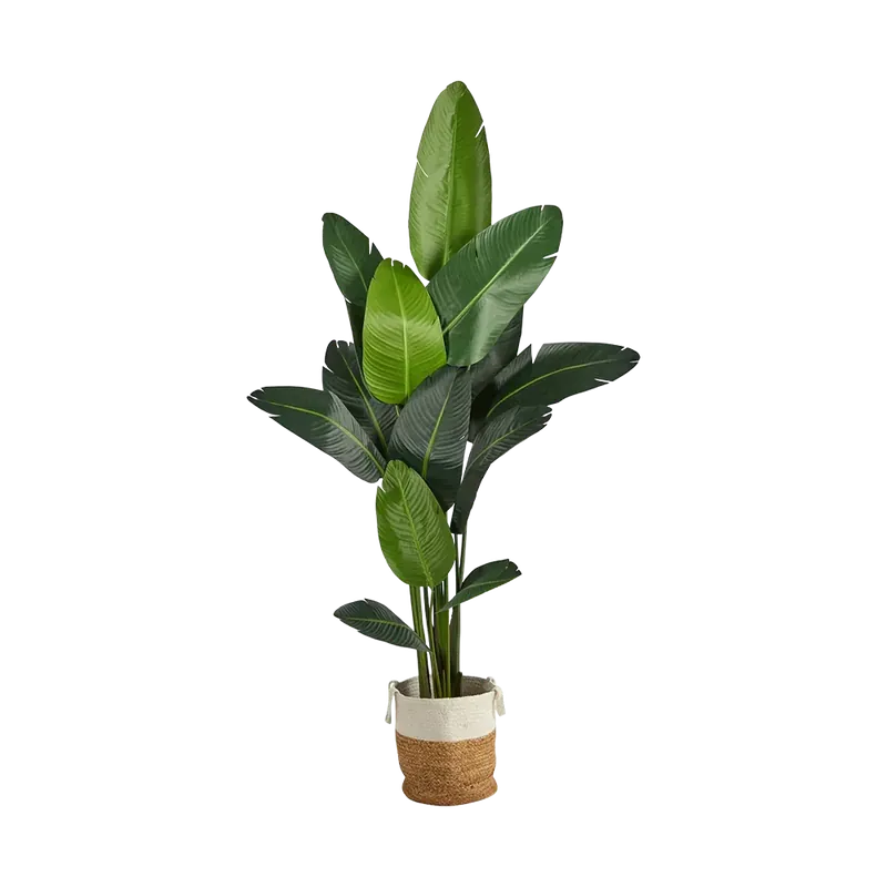 7 ft. Nomad Palm Tree - 401Nearly