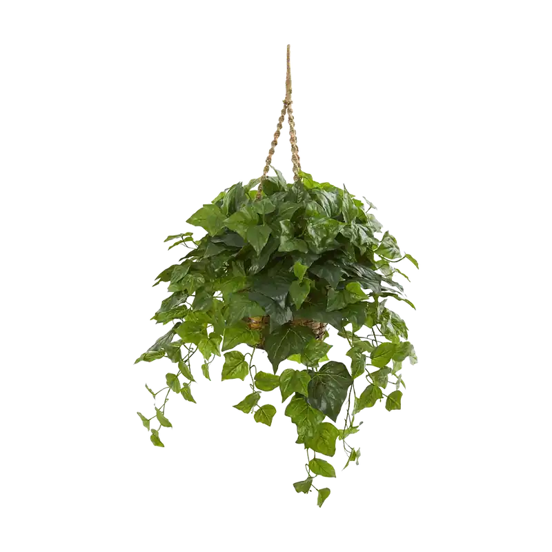 38" Emerald Cascade - Hanging Basket Real Touch