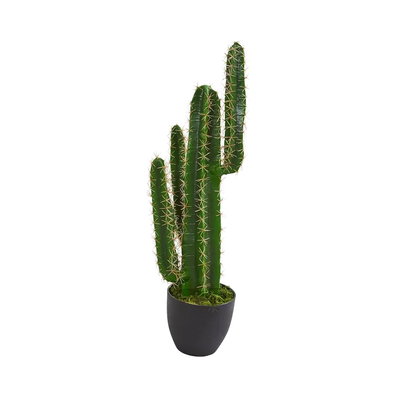 2.5 ft. Azure Spire Cactus - 401Nearly