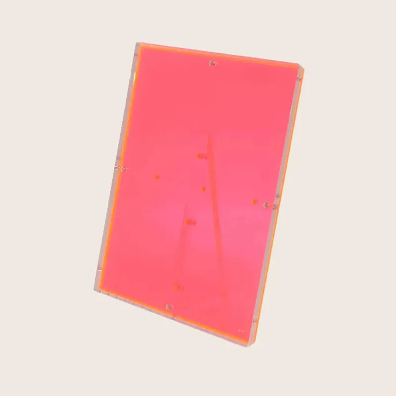 Neon Pink Snap Frame - Alexandra Von Furstenberg (Drop Ship)