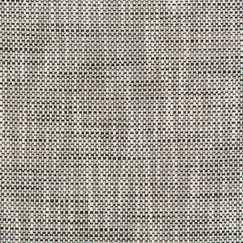 Black and White Outdoor Textured Fabric - Kravet