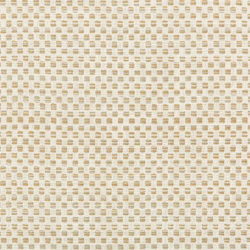 Beige Outdoor Fabric - Kravet